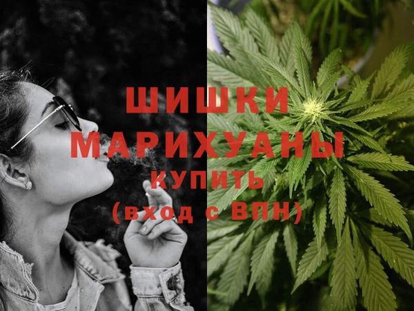 спайс Белокуриха