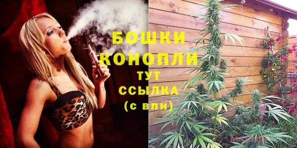 спайс Белокуриха