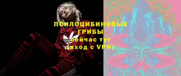 спайс Белокуриха